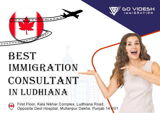 Best Immigration Consultant in Ludhiana